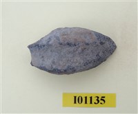 藏品(魚骨)的圖片